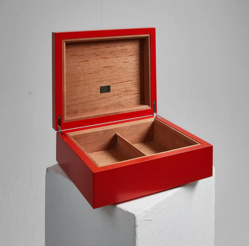 Guide to Dealing with Mold in Cigar Humidors