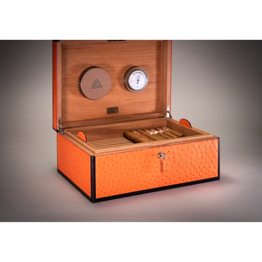 Desktop Humidor 75 cigars wood and Ostrich - STRUTHIO Collection