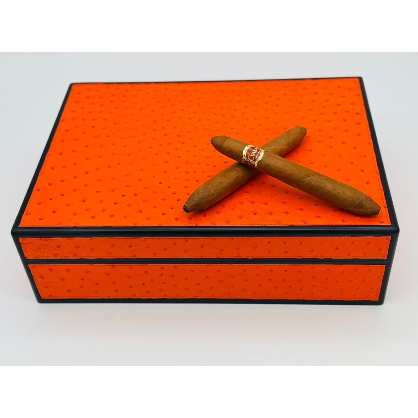 Desktop Humidor 75 cigars wood and Ostrich - STRUTHIO Collection