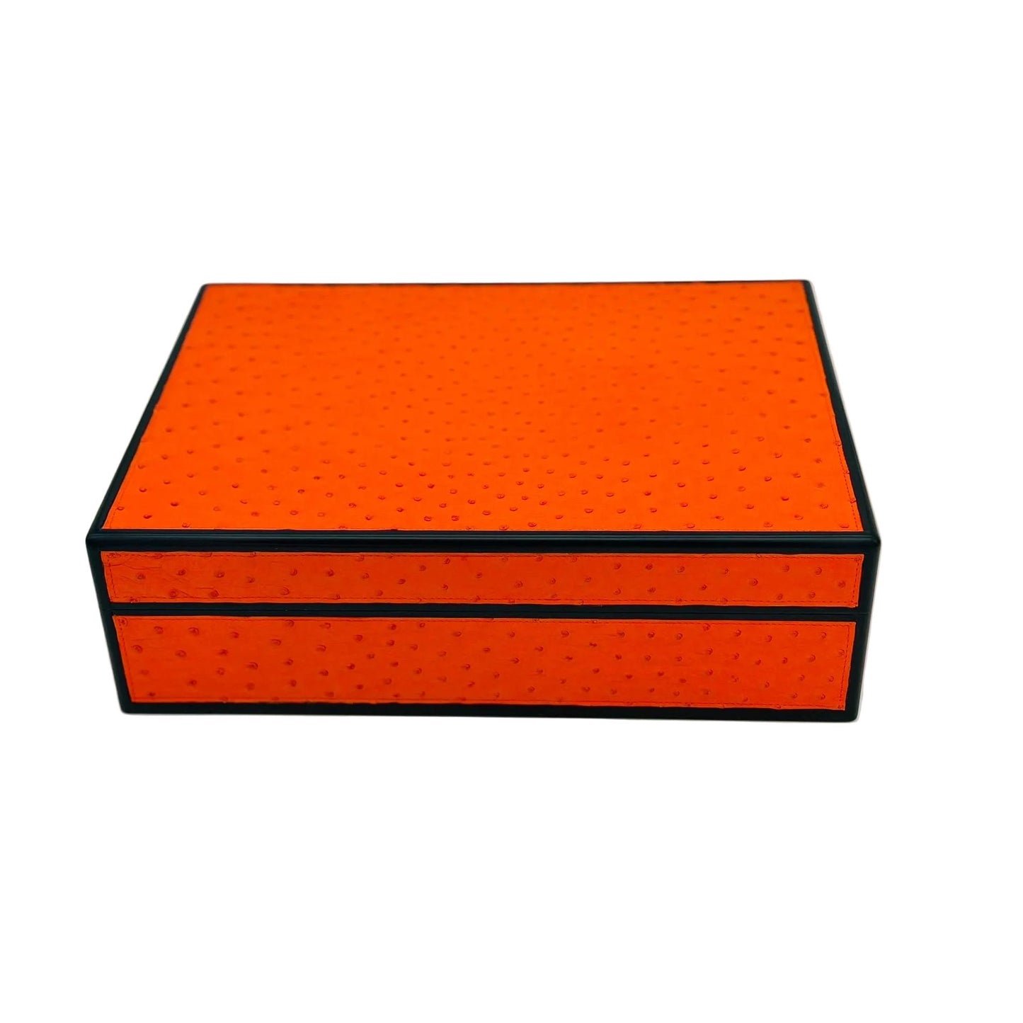 Desktop Humidor 75 cigars wood and Ostrich - STRUTHIO Collection
