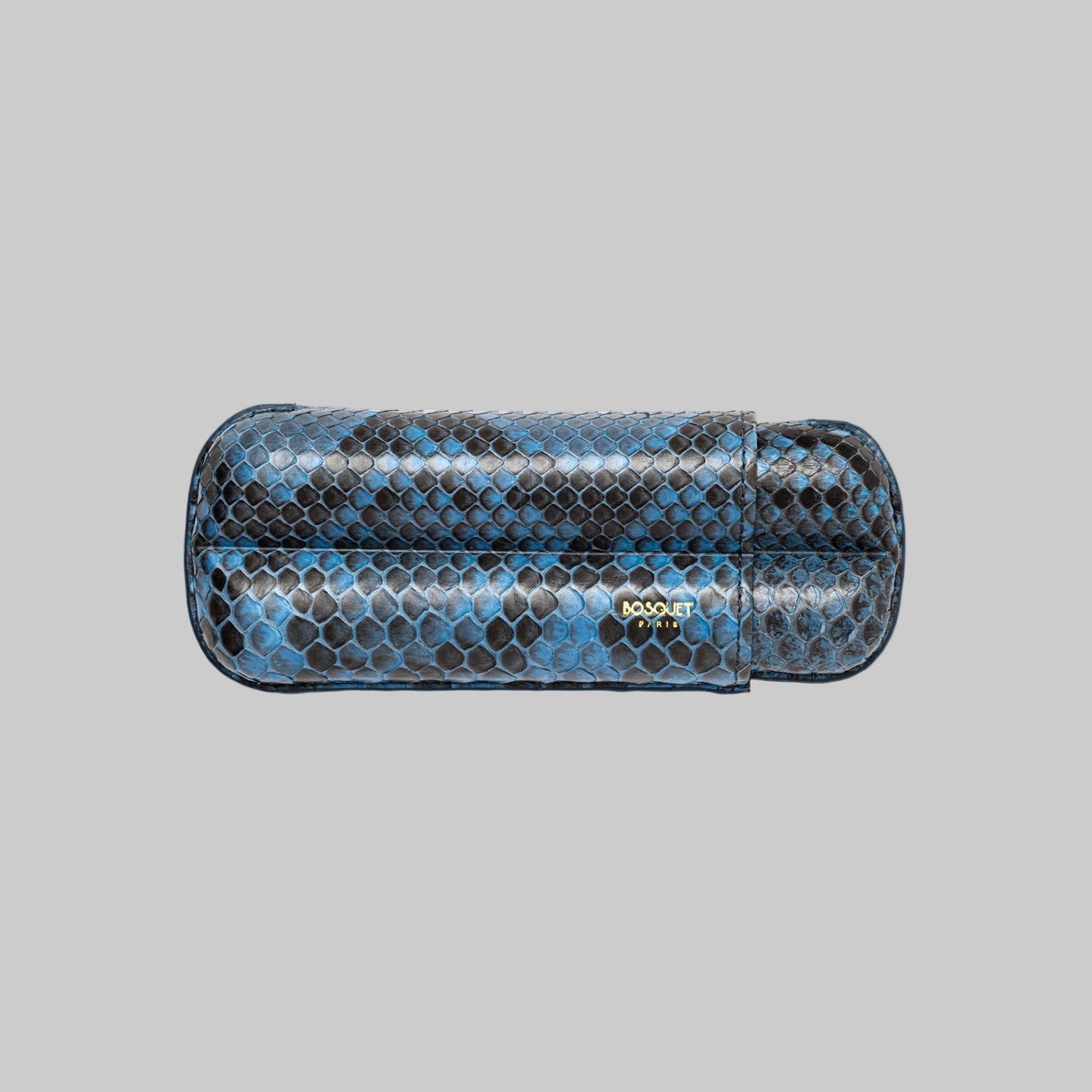 Genuine Python Leather Case for 2 - Blue
